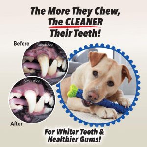 Chewbrush, Self-Brushing Toothbrush Dog - Image 2