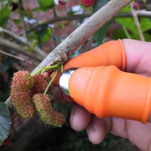 Vegetable Finger Peeler - Image 3