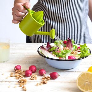 Cool Gift, Lemoniere Lemon Juicer - Image 4