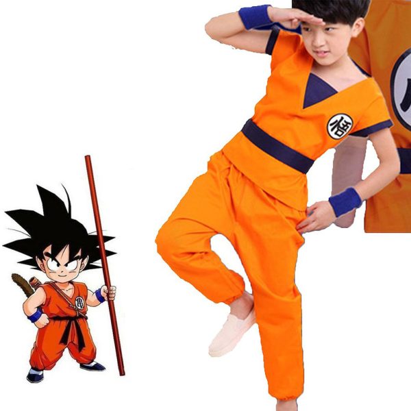 Costume-Dragon Ball-1
