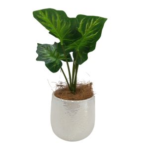 Artificial Plants Potted #0213-23 - Image 5