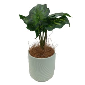 Artificial Plants Potted #0213-47 - Image 6