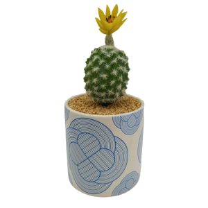 Artificial Plants Potted #213-53 - Image 3