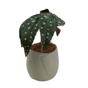 Artificial Plants Potted #553 - Image 4