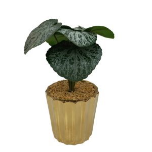 Artificial Plants Potted #564 - Image 6