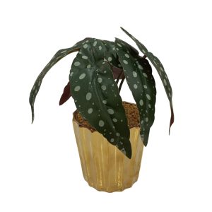 Artificial Plants Potted #564 - Image 7