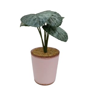 Artificial Plants Potted #567 - Image 5