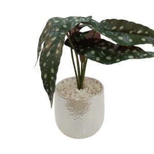 Artificial Plants Potted #569 - Image 4