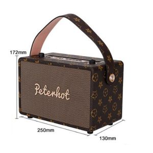 Karaoke Bluetooth Peterhot A106w - Image 4