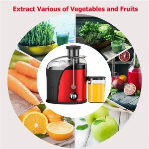 Hoffmans HM-622, Electric Juicer 1200W - Stainless - Image 5