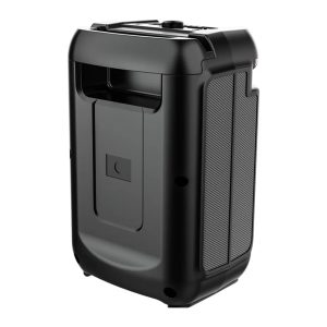 Sing-e ZQS8139, 8 Inch LED Speaker - Image 3