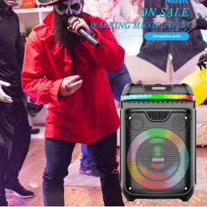 Sing-e ZQS8139, 8 Inch LED Speaker - Image 5