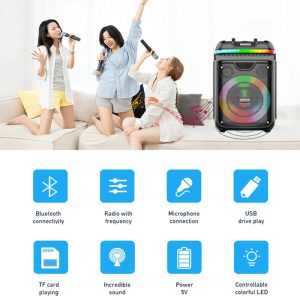 Sing-e ZQS8139, 8 Inch LED Speaker - Image 6