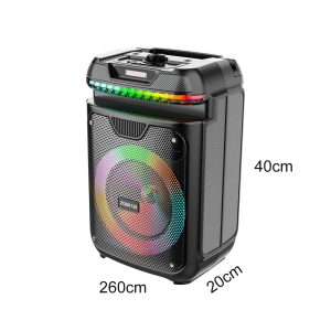 Sing-e ZQS8139, 8 Inch LED Speaker - Image 7