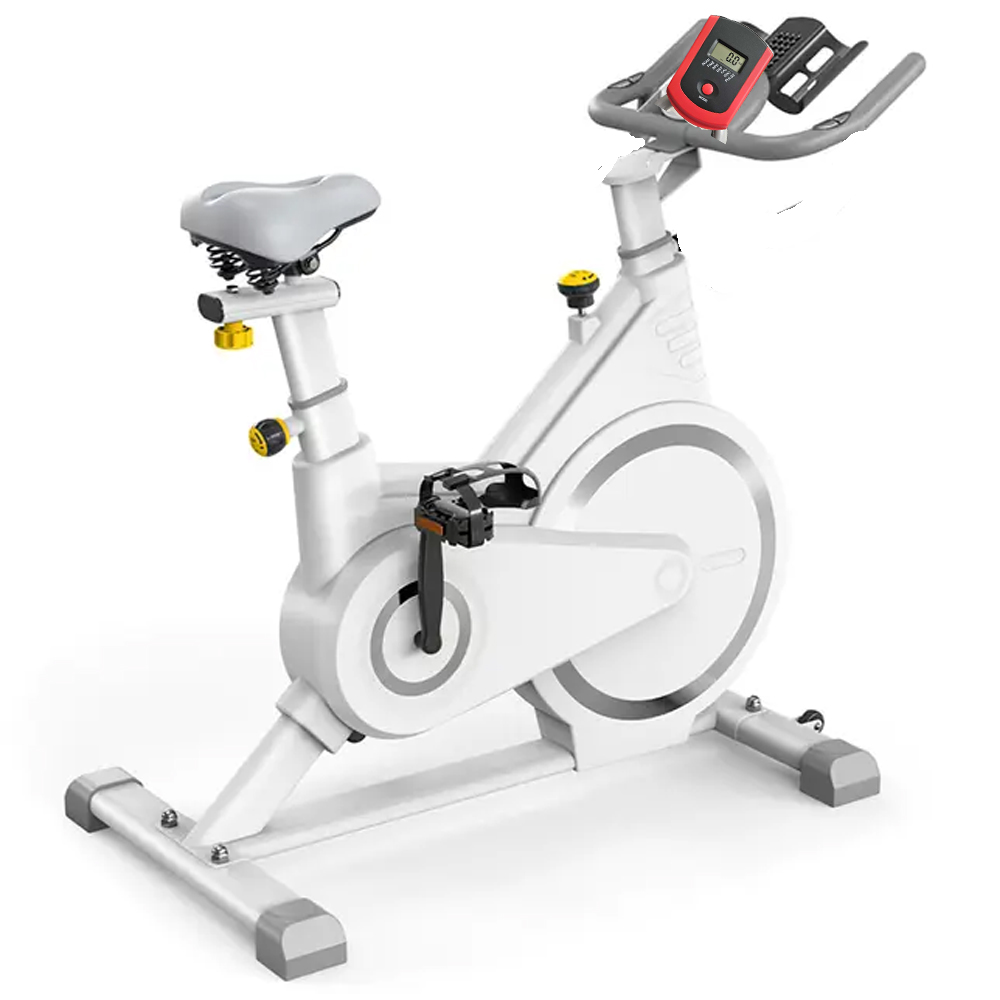 magnetic exercise bike making noise