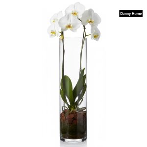 Danny Home Clear Glass Plant Vase 25-cm