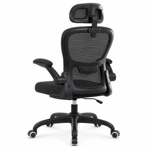Mesh Ergonomic Office Chair with Lumbar Support and Adjustable Headrest ZCDF120806